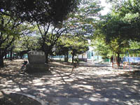 �|�m��C���ߗ�